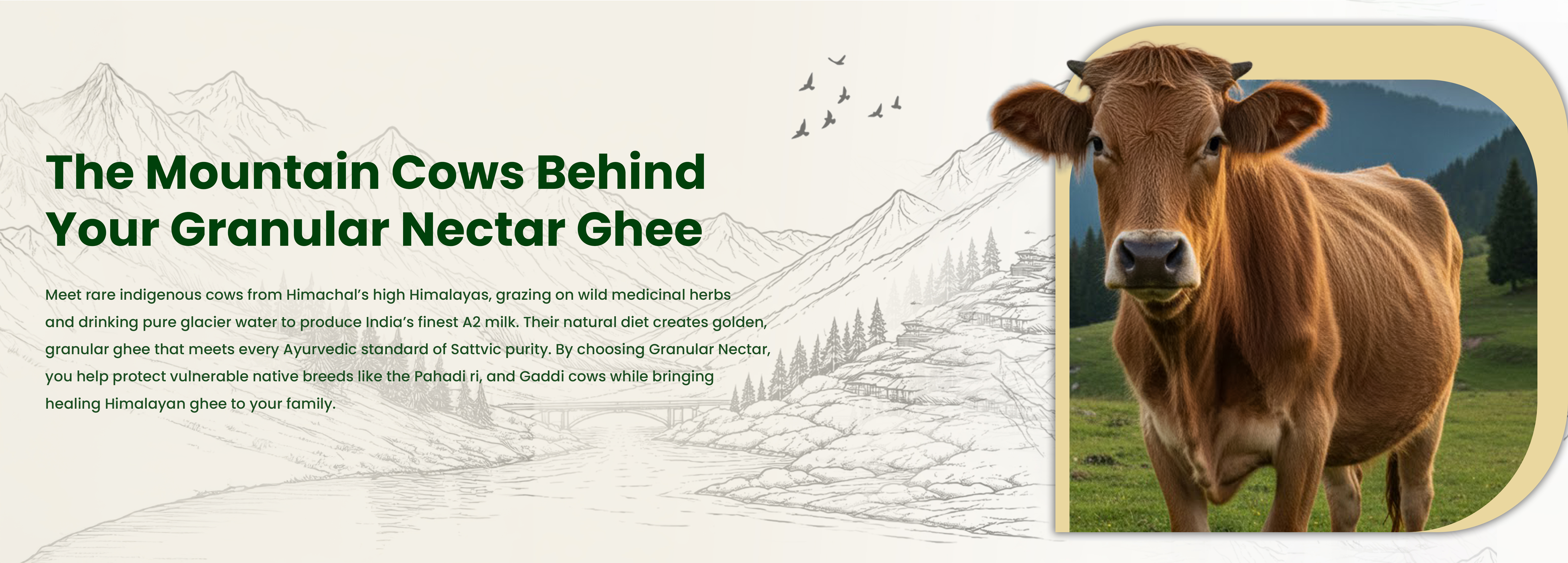 Granular Nectar Banner